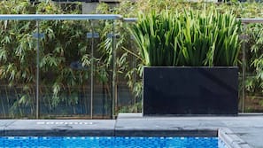 Outdoor pool, pool loungers