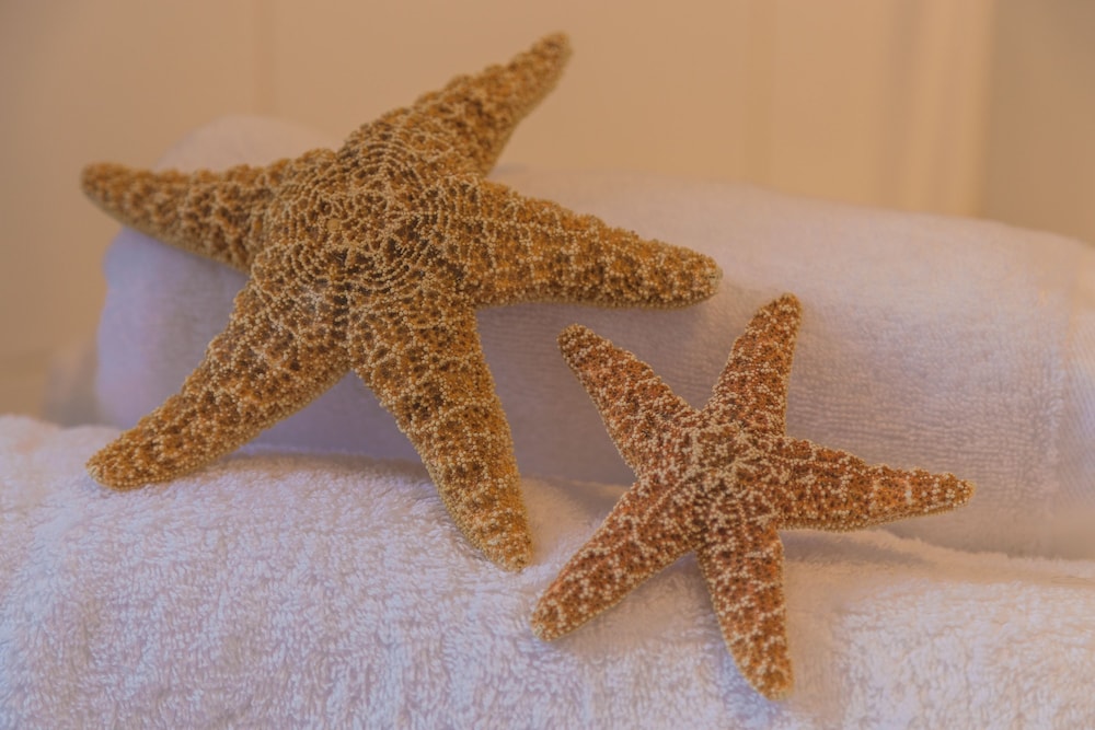 Photo - El Nido de Alaro - Turismo de Interior