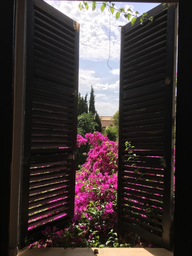 Photo - El Nido de Alaro - Turismo de Interior