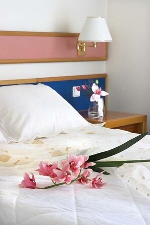 Double or Twin Room | Desk, iron/ironing board, free WiFi