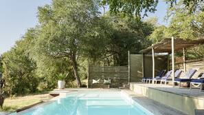 Outdoor pool, an infinity pool, sun loungers