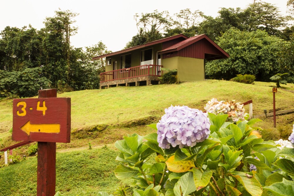 Tripadvisor Monteverde Hotels Tripadvisor Monteverde Hotels