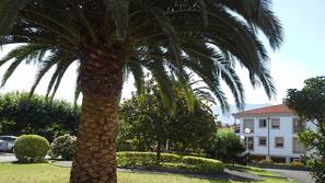 Vistas desde la habitación