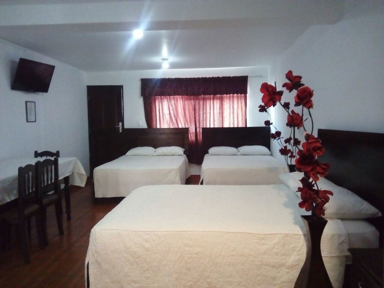 Hostal Stefano in Pisco, Peru