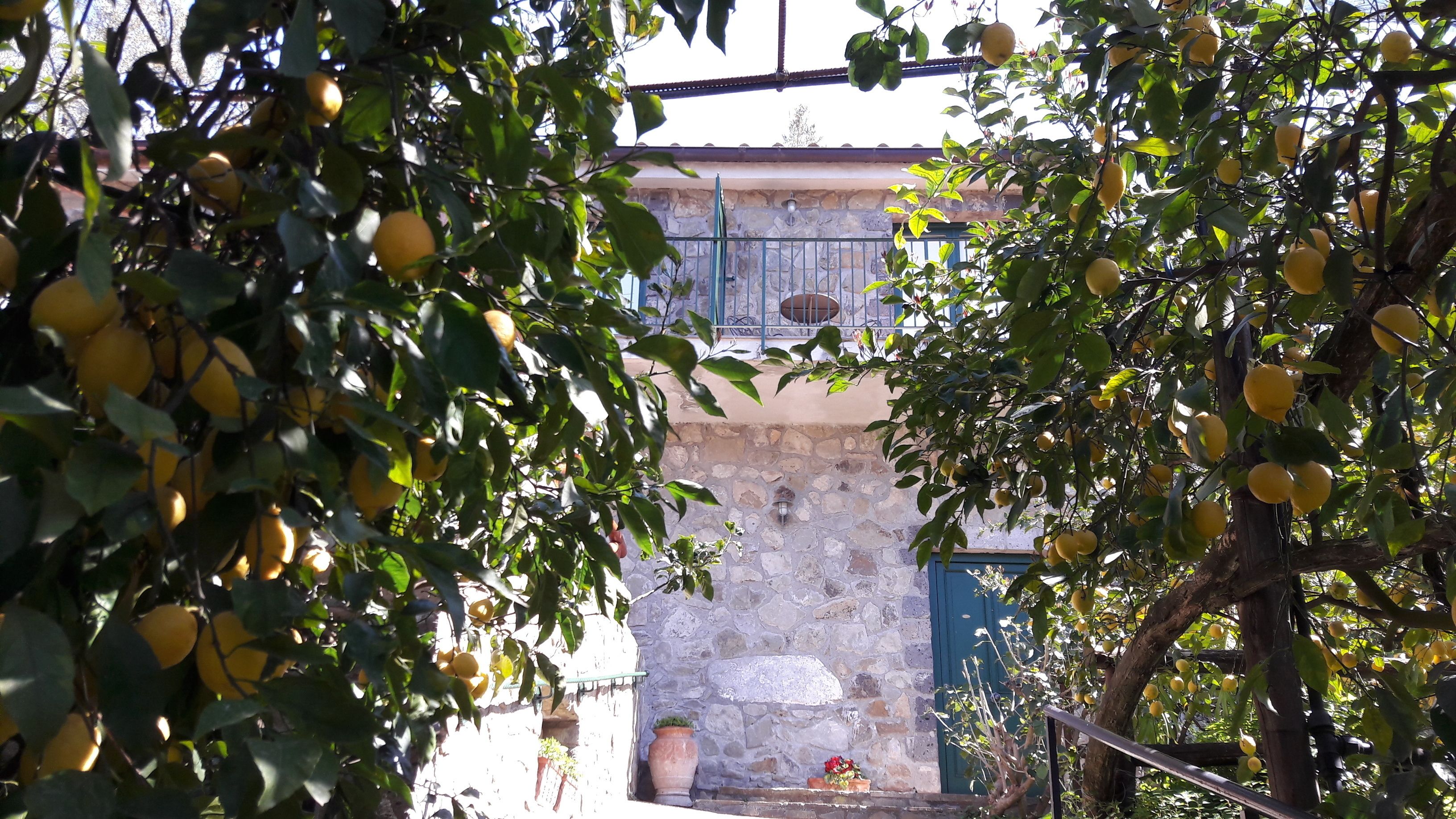 Agriturismo La Lobra in Massa Lubrense, Italy
