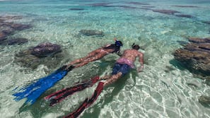 Natural pool