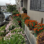 Top Hotels in Temoh from $10  Expedia