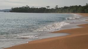 Plage, chaises longues, serviettes de plage