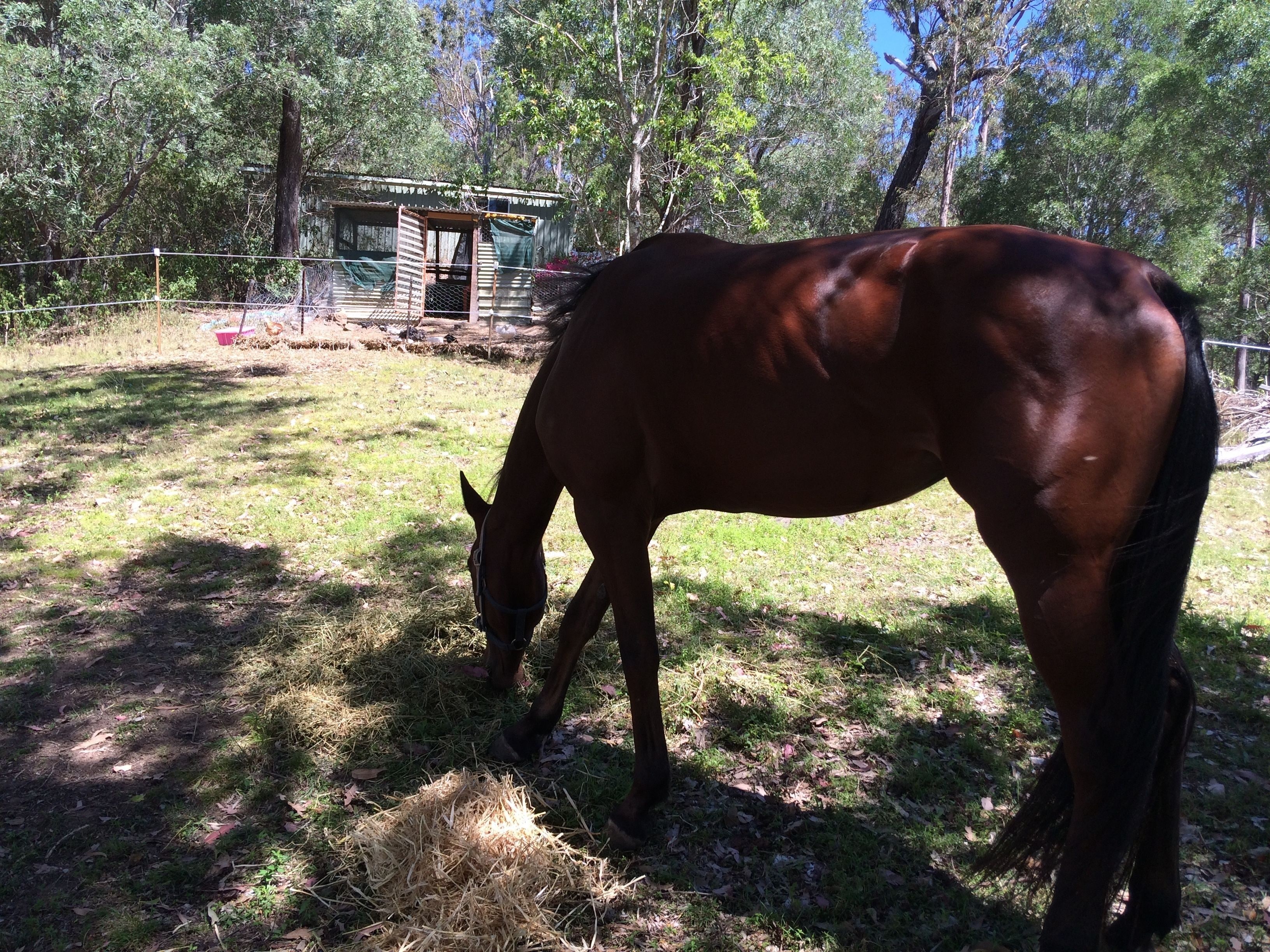 Pearl of Contentment Retreat