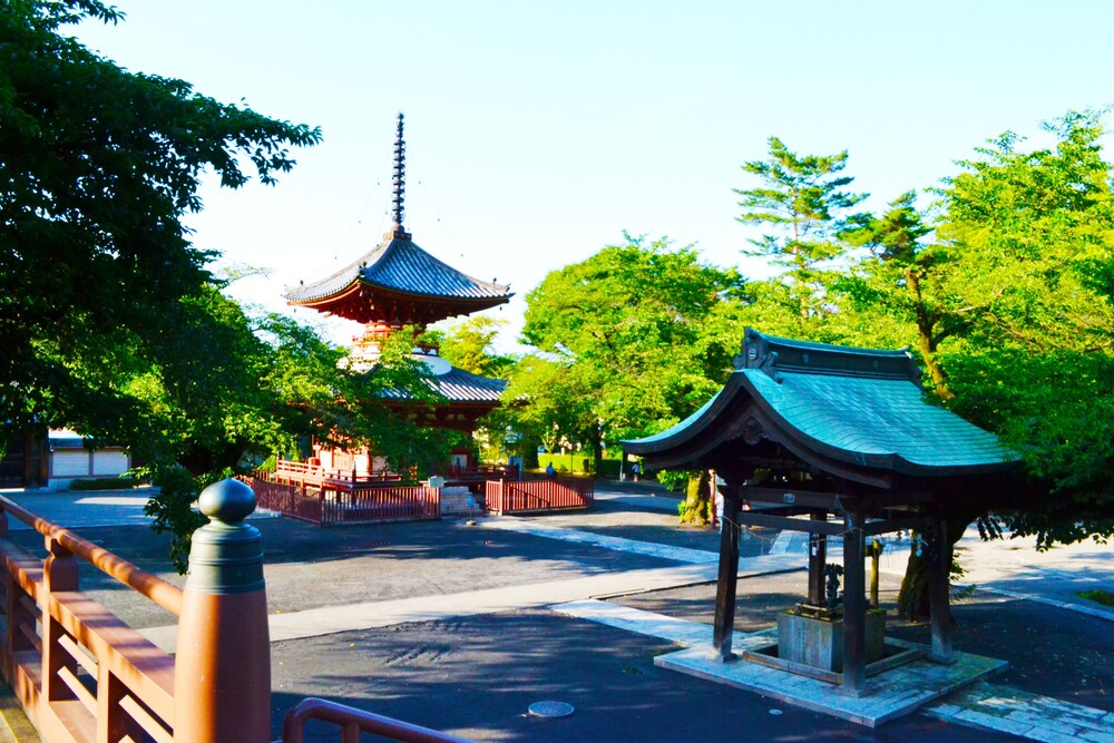 松村屋旅館 埼玉県 川越 おすすめ人気宿泊プラン一覧 トラベルjp 松村屋旅館 埼玉県 川越 おすすめ人気宿泊プラン一覧 トラベルjp