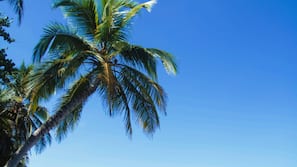 Ubicación cercana a la playa