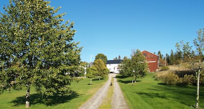Tynderö Gård