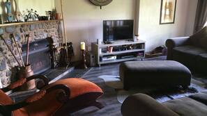 Kamin, DVD-Player