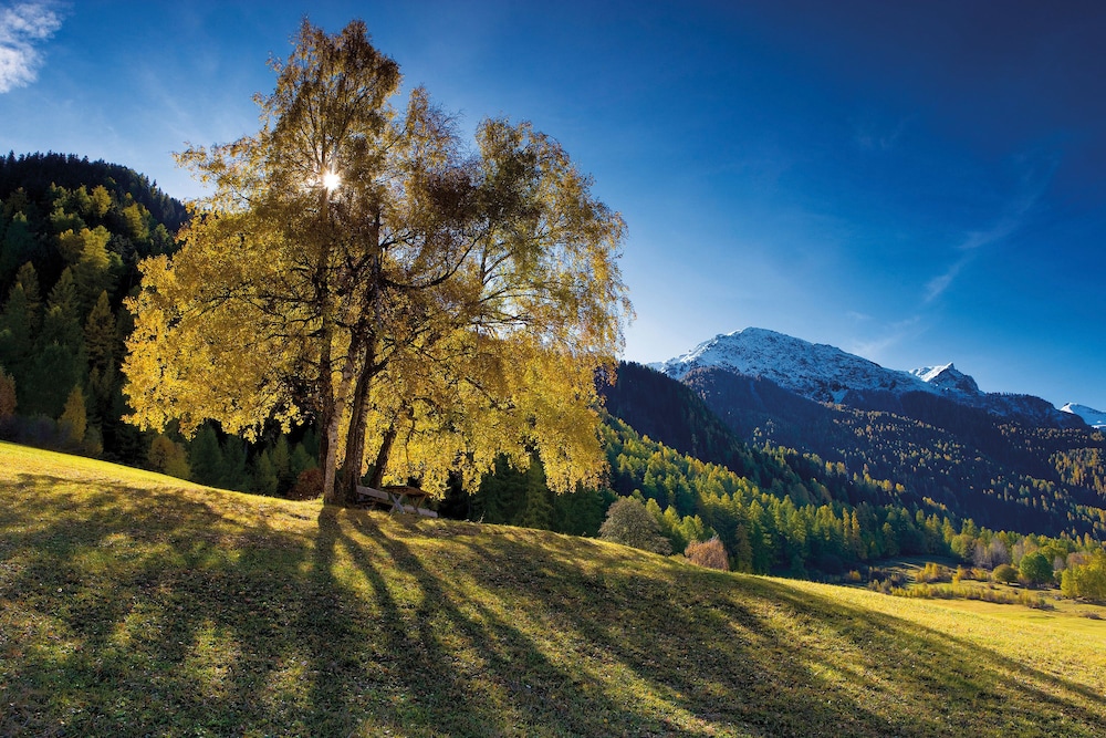 Packages & Destinations Find cheap flights, adventure tours, gap year and student travel, career breaks, hotels and hostels, volunteer projects and more at STA Travel.