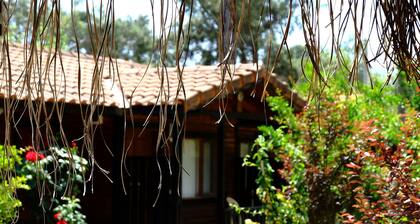 Koala Bungalows