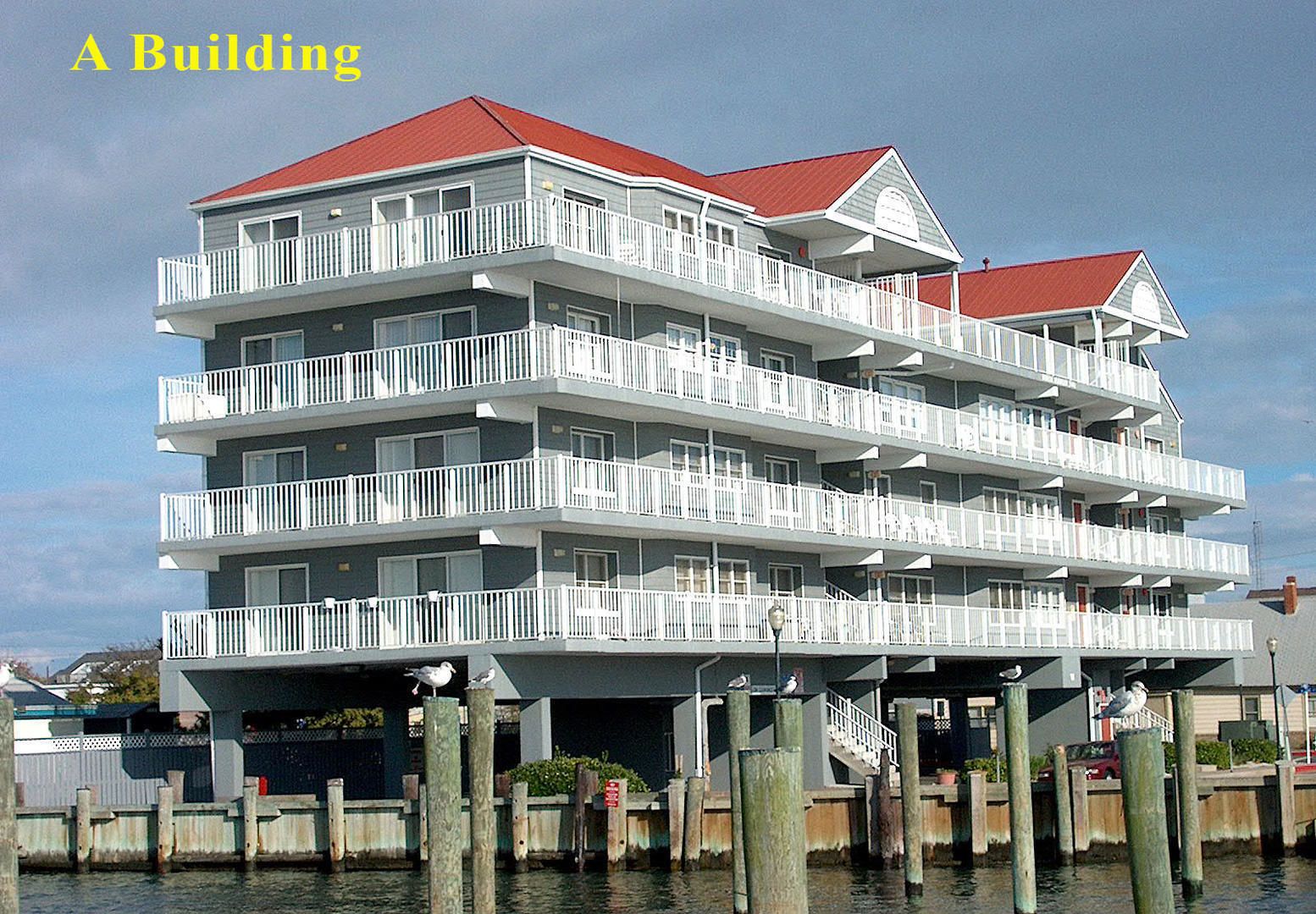 White Marlin 304A 1 Br condo by RedAwning (Ocean City, USA) Expedia