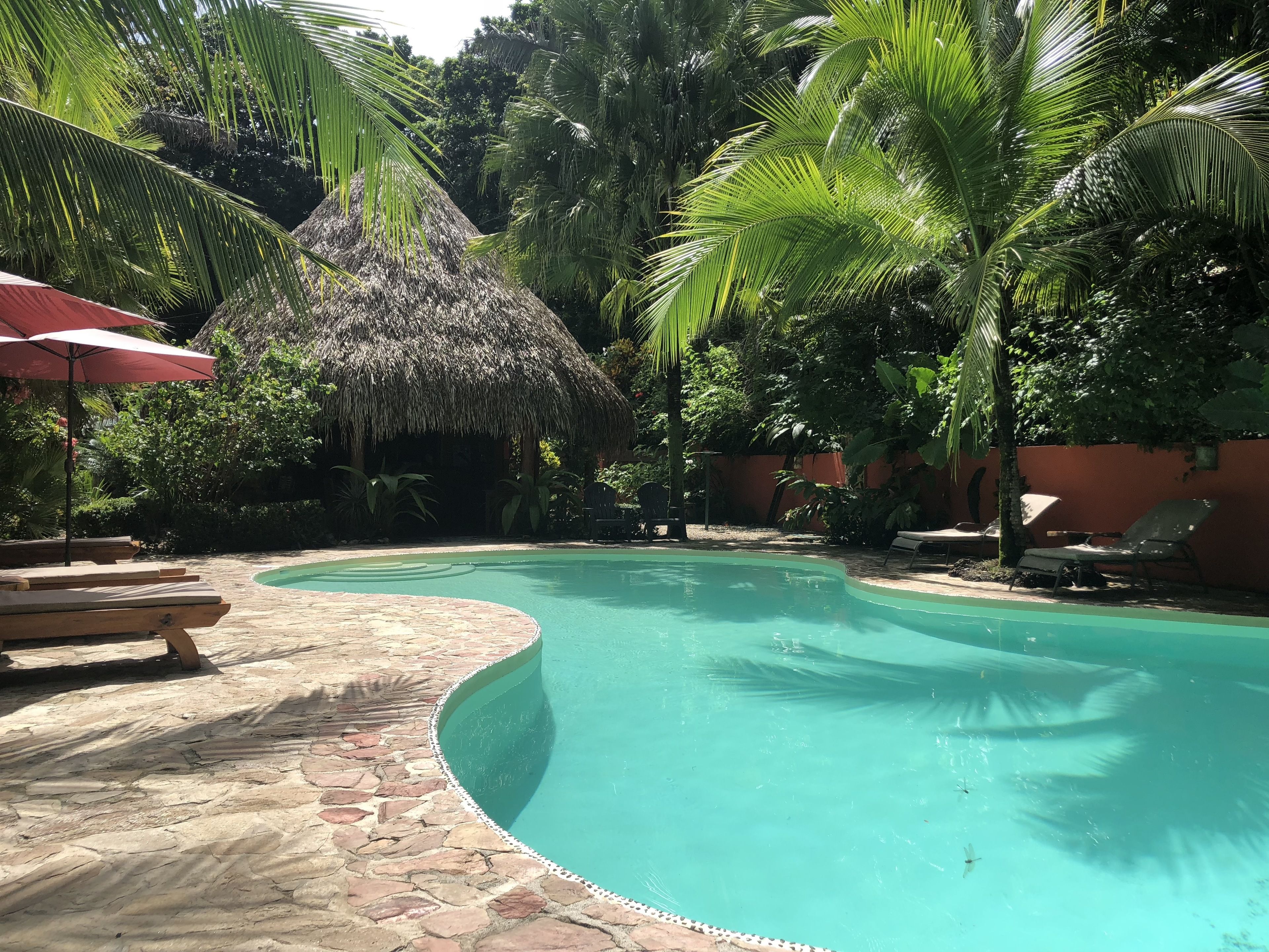 Hotel El Pequeño Gecko Verde in Sámara, Costa Rica