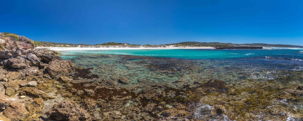 Primary image, Hanson Bay Wildlife Sanctuary and Cabins