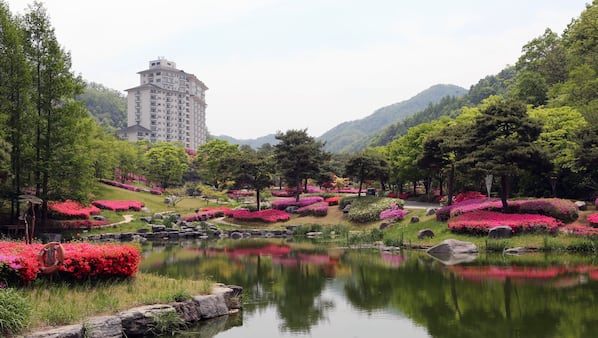 대표 사진