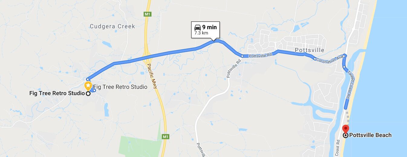 Fig Tree Retro Studio