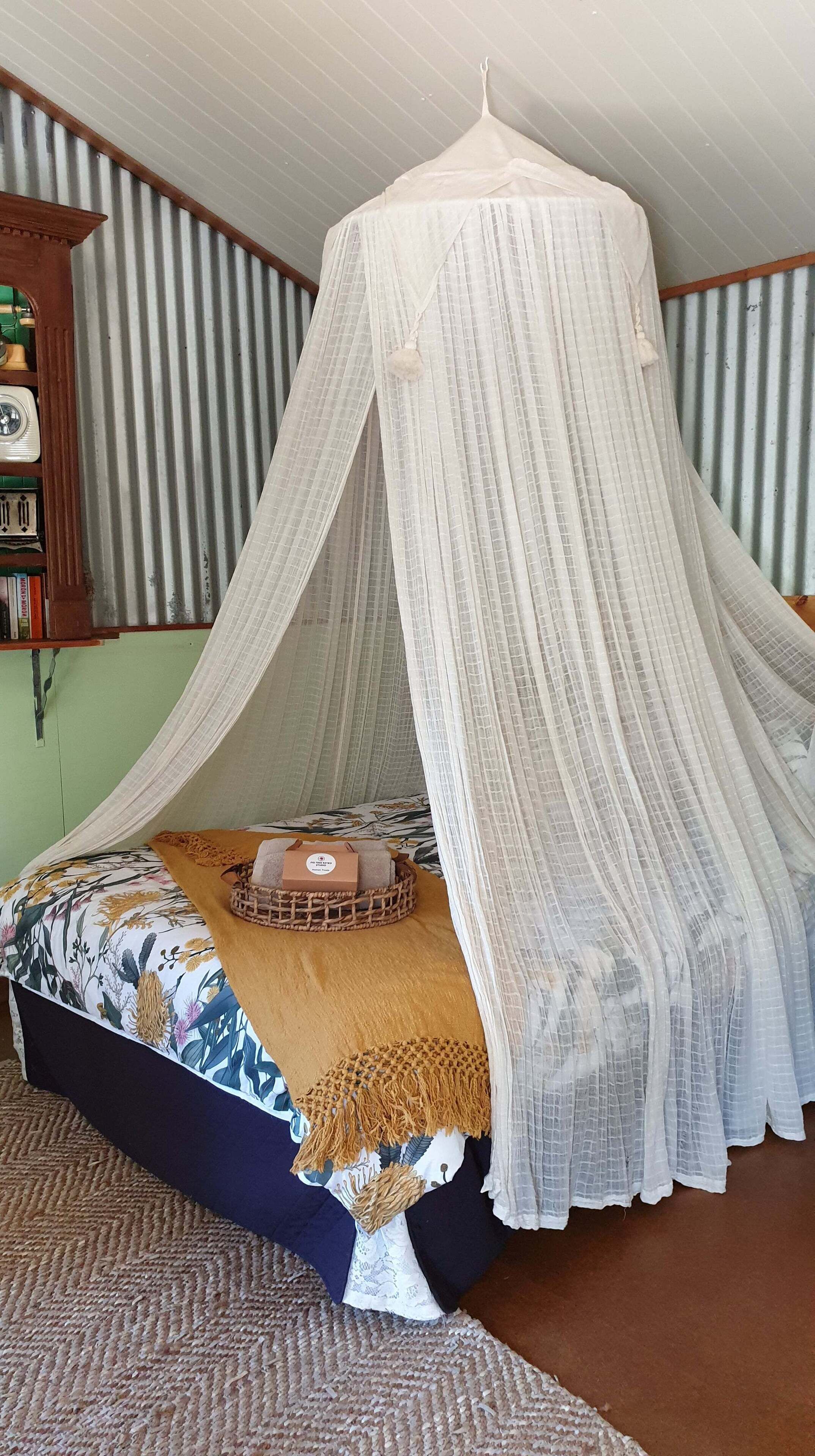 Fig Tree Retro Studio