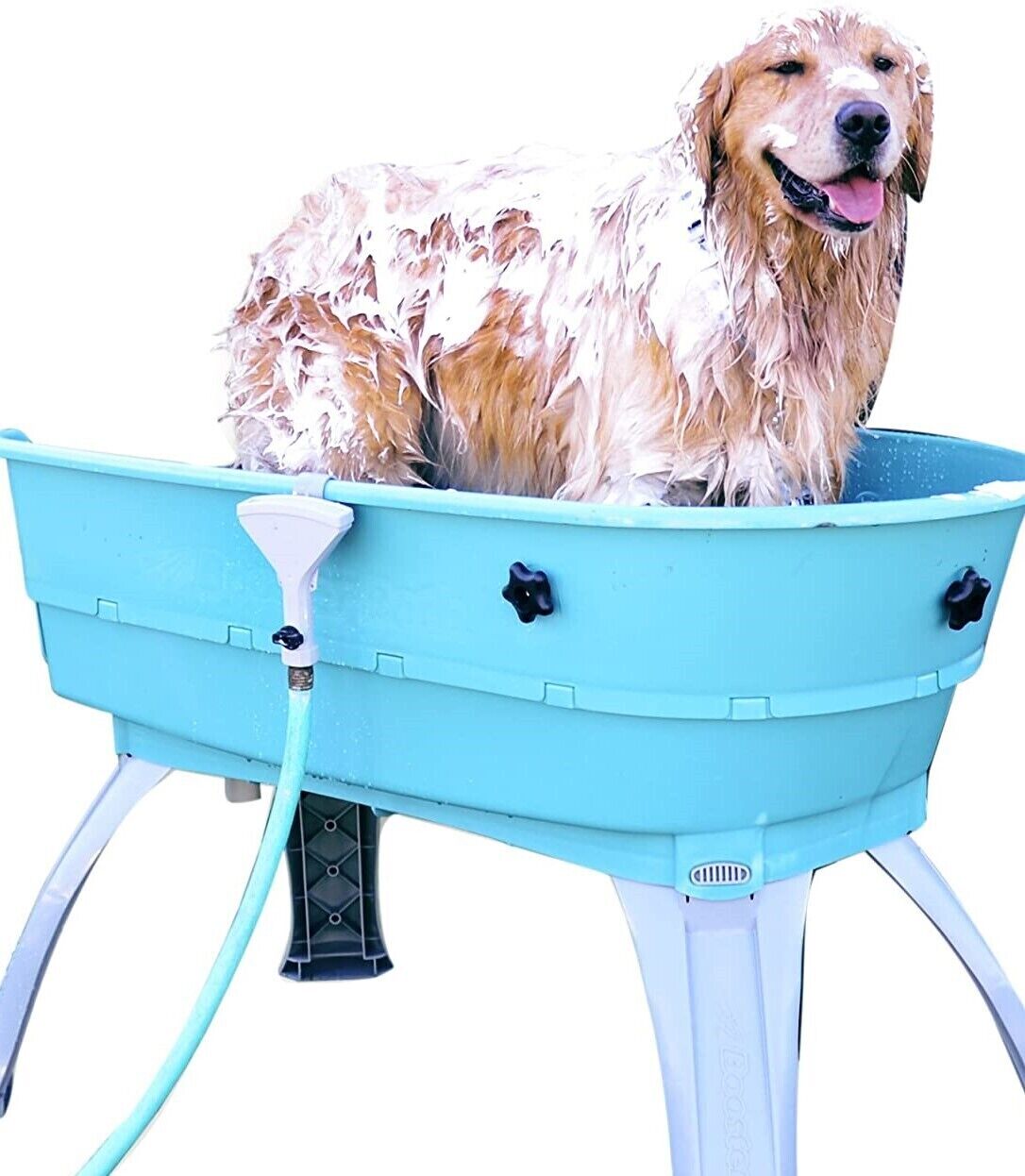 Fig Tree Retro Studio