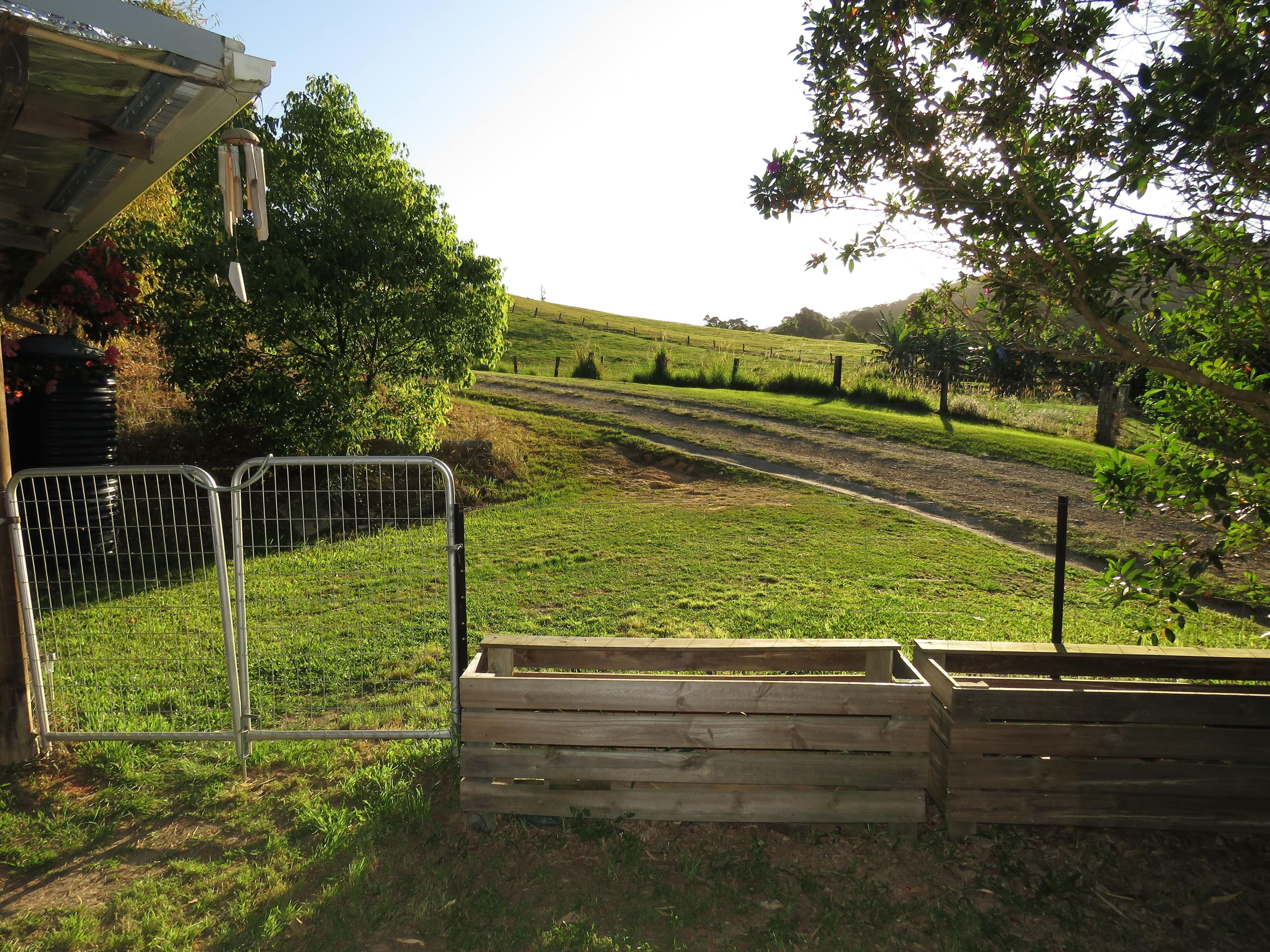 Fig Tree Retro Studio