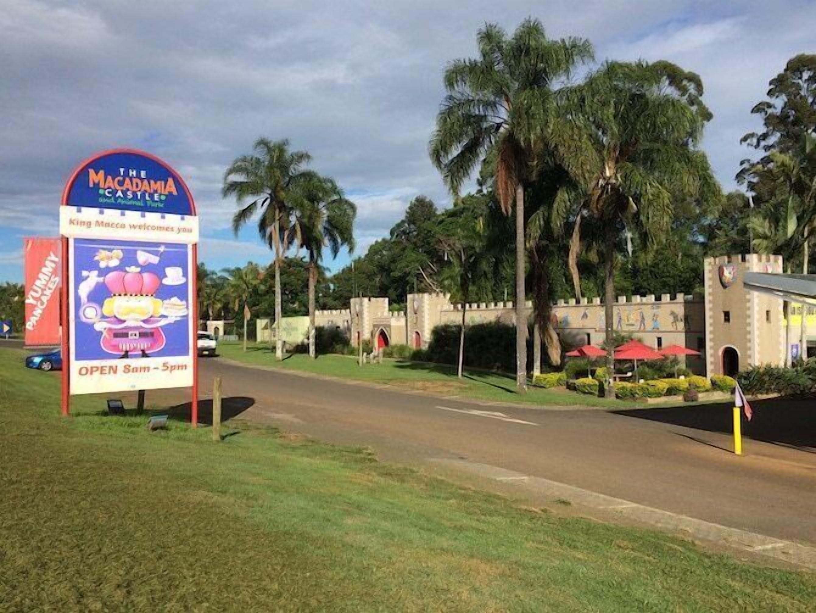 Fig Tree Retro Studio