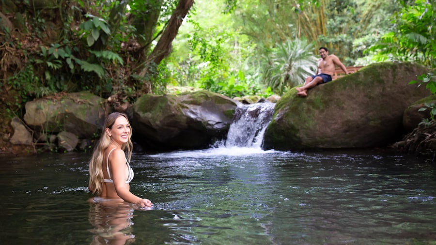 Chachagua Rainforest Hotel & Hot Springs