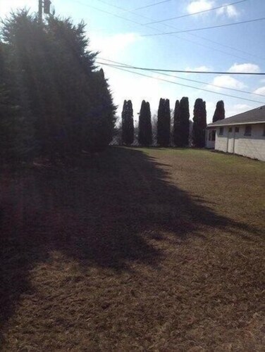 Courtyard, Heidelberg Motel