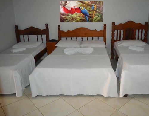 Pet Friendly Hotels In Porto Velho 27 Dog Friendly Hotels - 