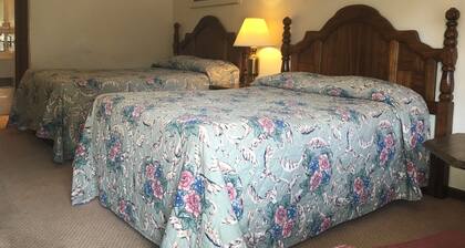 Lemon Tree Inn