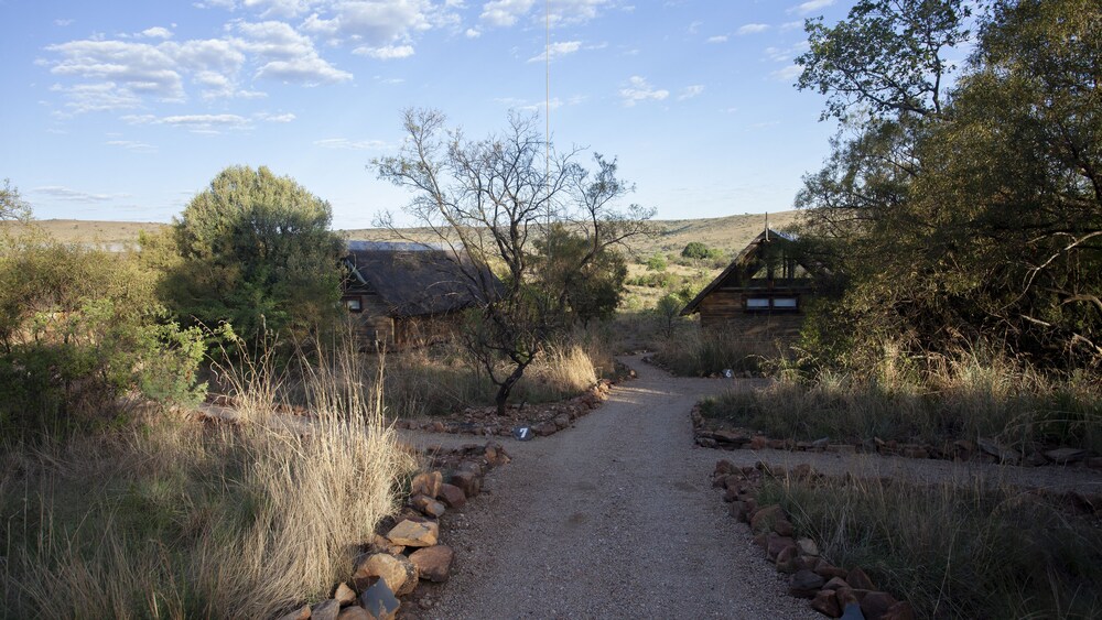 Cradle Boutique Hotel in Johannesburg Best Rates & Deals on Orbitz