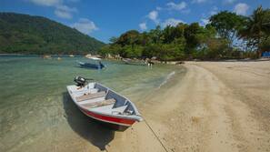 Plage, plongée sous-marine, snorkeling