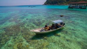 Plage, plongée sous-marine, snorkeling