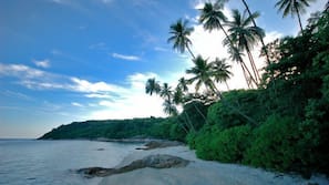 Private beach, beach shuttle, snorkelling