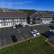 avalon animal hospital logy bay road