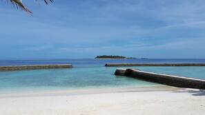 Plage privée, serviettes de plage, snorkeling, canoë