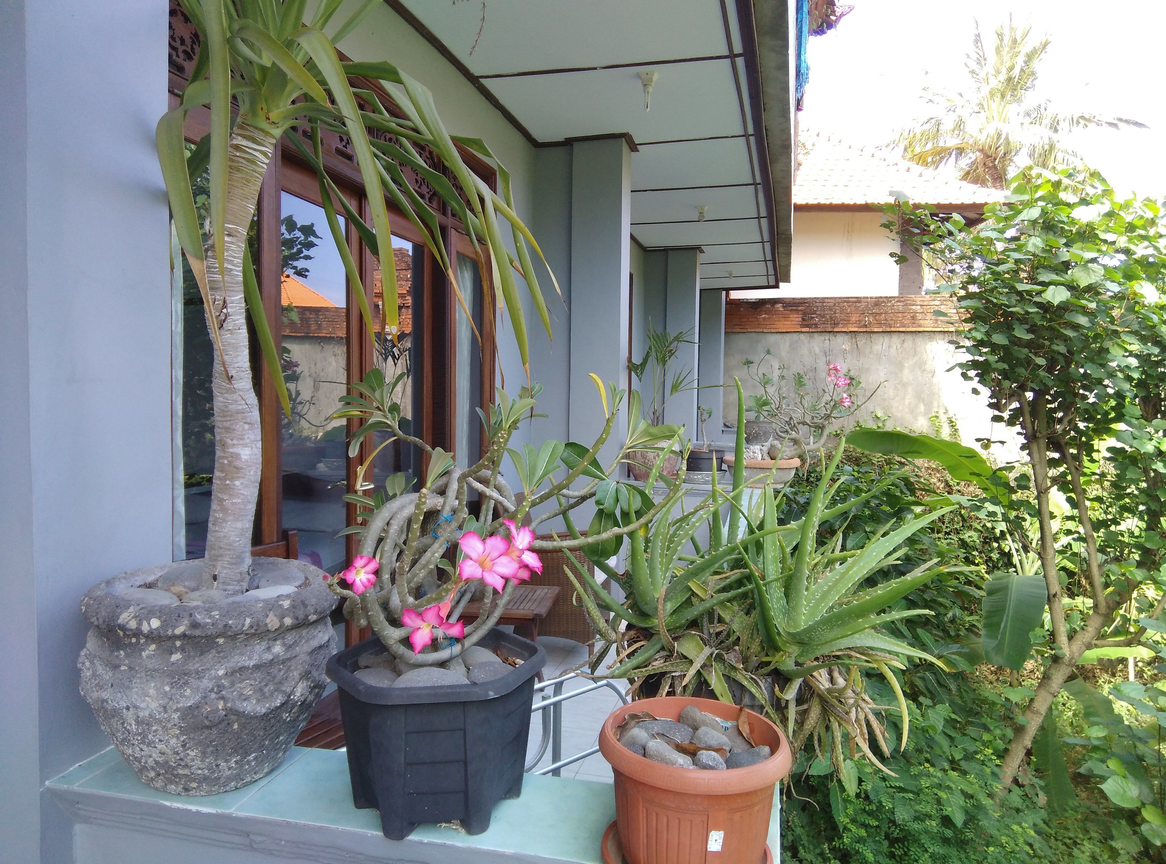 Celagi Inn in Padangbai, Indonesia