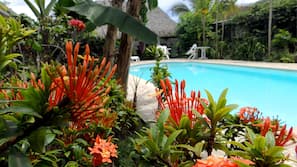 Outdoor pool, sun loungers