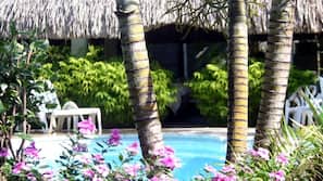 Outdoor pool, sun loungers
