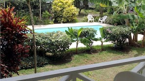 Outdoor pool, sun loungers