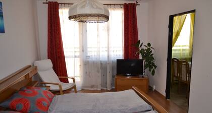 Apartment Alejní