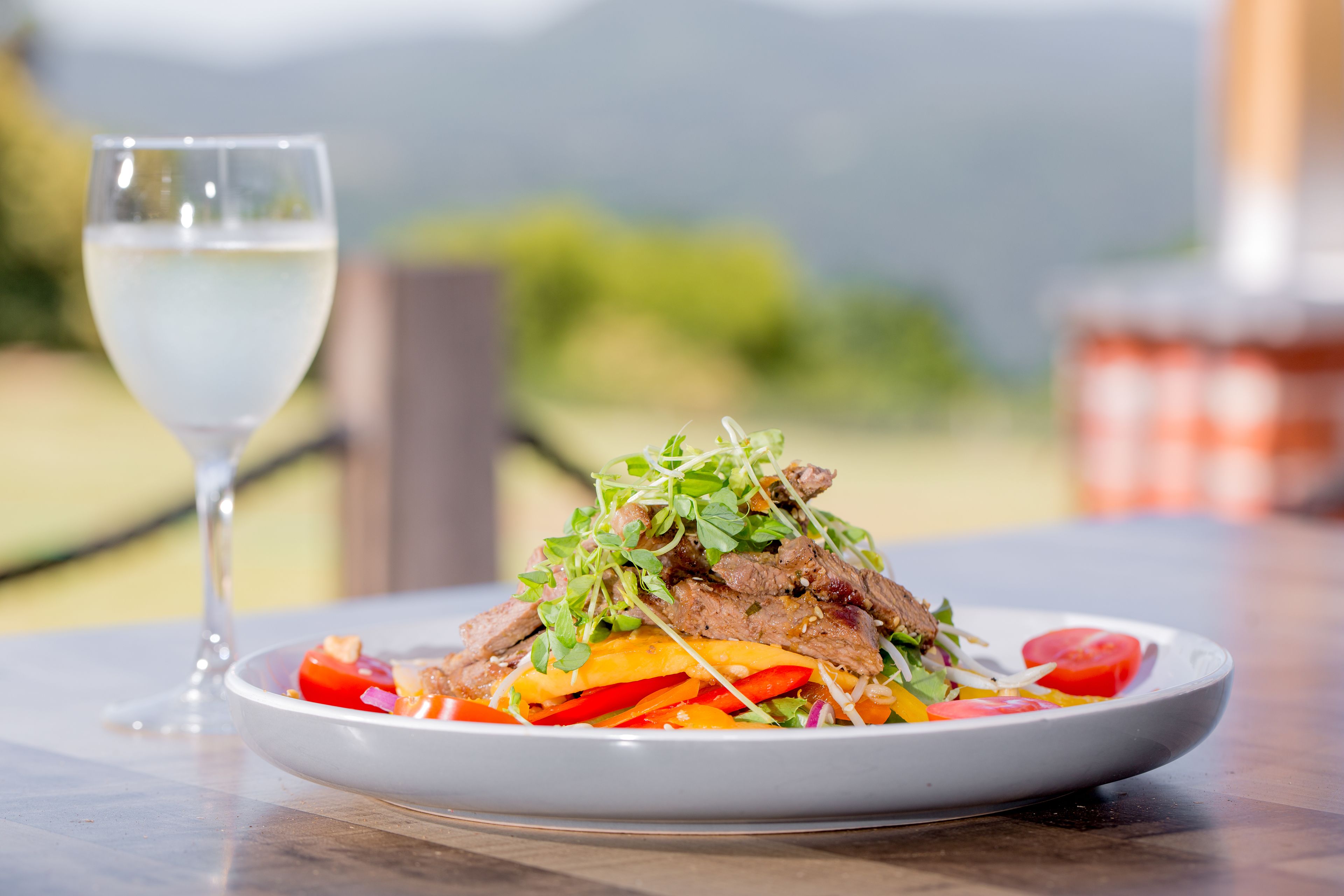 Lookout Mountain Retreat