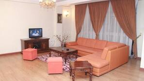 Flat-screen TV