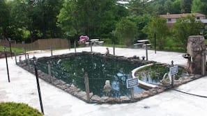 Natural Pool
