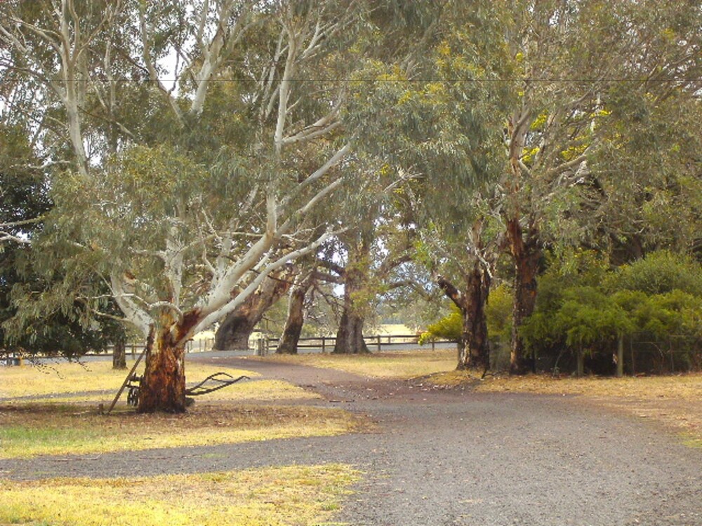 GRAMPIANS HISTORIC TOBACCO KILN