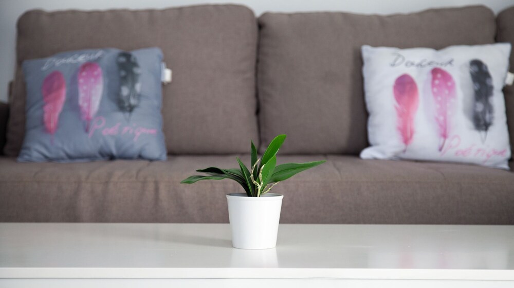 Foto - Flats Friends Torres Quart