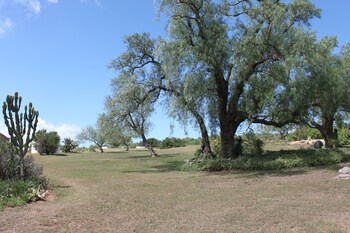 Leeuwenbosch Shearers Lodge Reviews Photos Rates - 