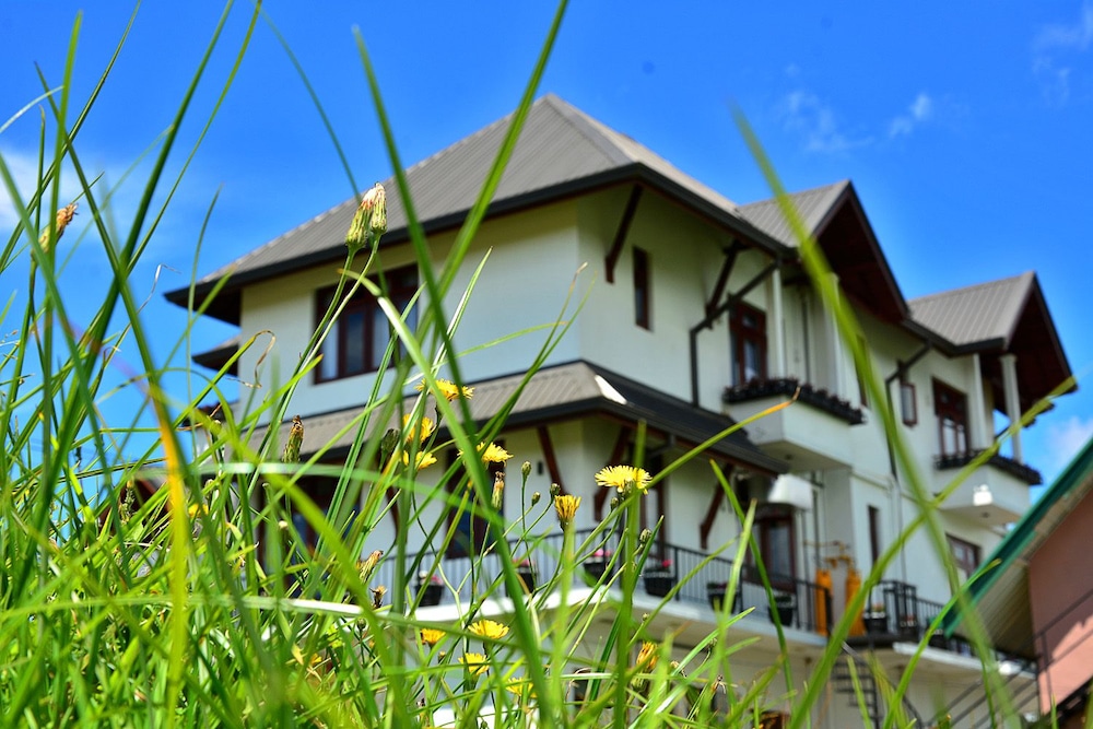 Mount Royal Villa Reviews Mount Royal Villa Reviews